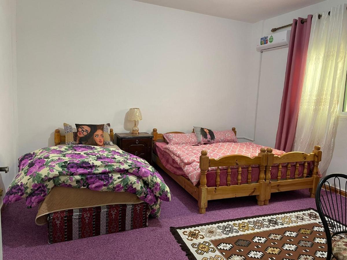 Its Your Choice Hostel 瓦迪穆萨 外观 照片