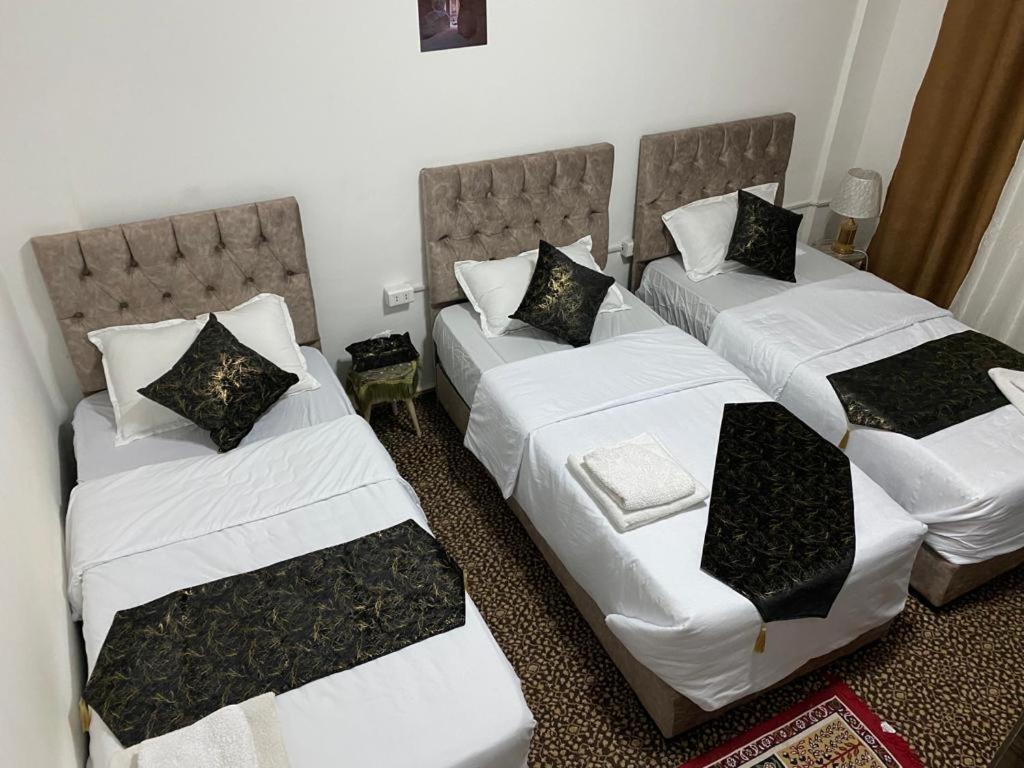 Its Your Choice Hostel 瓦迪穆萨 外观 照片