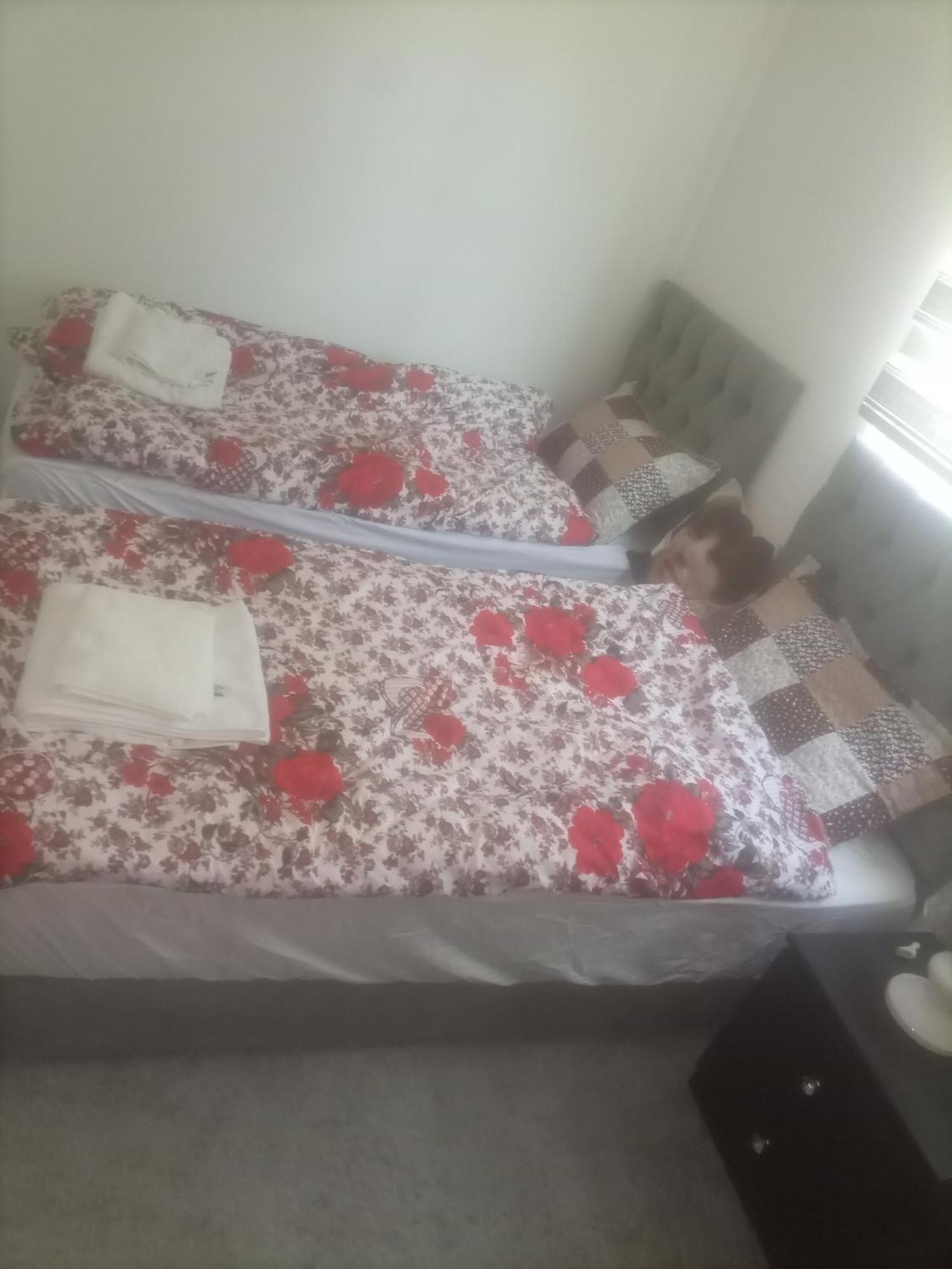 Its Your Choice Hostel 瓦迪穆萨 客房 照片